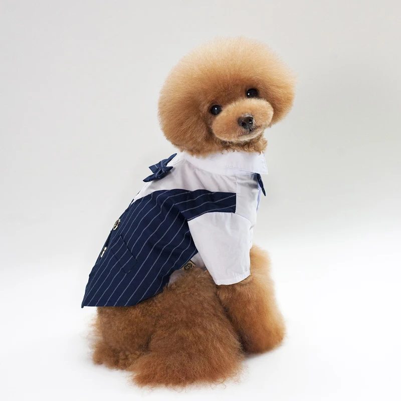 Swallow Tail Dog Suit12