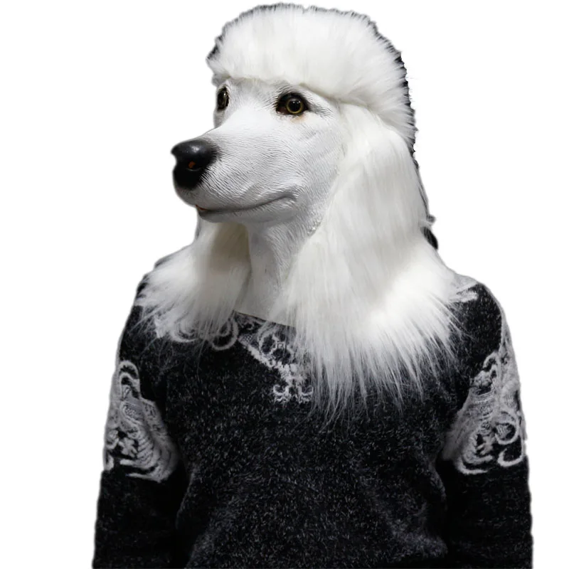 poddle2