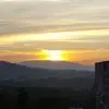 T***e