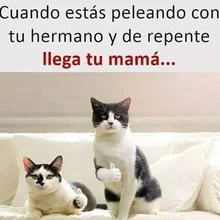 O***a