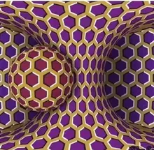 v***v