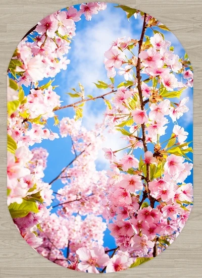 Else голубое небо весенние розовые цветы на дереве цветы 3d принт Нескользящая микрофибра для гостиной современный Овальный моющийся ковер