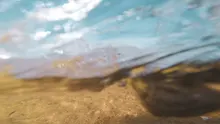 K***a
