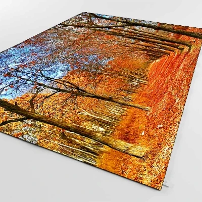 Осень лес красный оранжевый Листья коричневое дерево 3d печать Нескользящая микрофибра Гостиная декоративный современный моющийся коврик