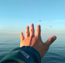 A***v