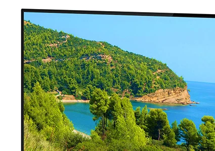 Телевизор 43" Polarline 43PU11TC-SM 4k SmartTV