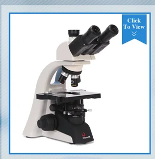 Феникс 40X-1600X клиника используется бинокулярный Сцепной Биологический микроскоп BMC300 серии Китай экспортные товары