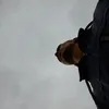 v***r