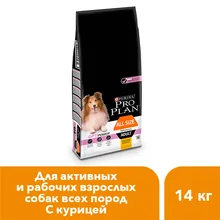 Pro Plan ALL SIZE ADULT PERFORMANCE корм для собак всех пород, активных и рабочих собак, с курицей и рисом, 14 кг