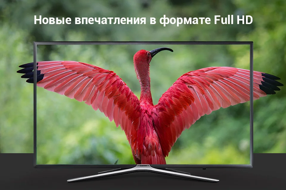 PC (1)