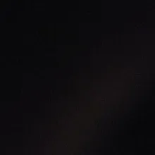 D***M