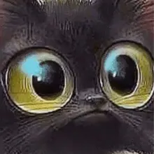Y***r