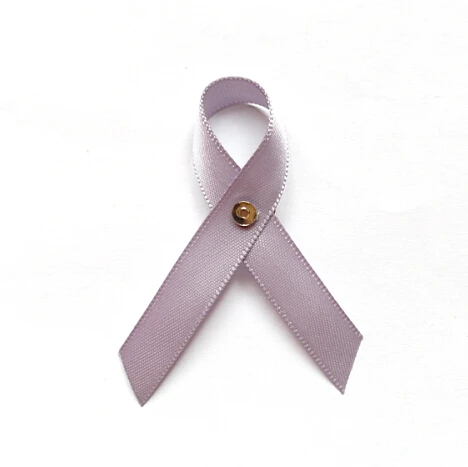

500pcs DHL free shipping May Brain Cancer Gray Awareness Ribbon bow Brooch Gray Support Ribbon