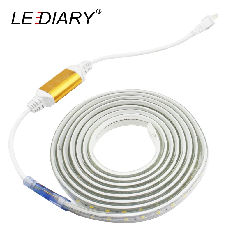 

LEDIARY IP67 Waterproof Colorful LED Strip 220V 120LED/M Two Light Source Warm White Blue Decoration Lamp For Garden Building