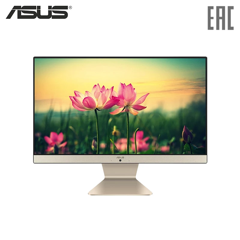 

Моноблок ASUS V222UAK-BA081D/i3 6006U/4G/1Тб/WiFi/21.5"/1920x1080/DOS/KB+M/Черный (90PT0261-M04470)