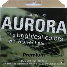 Cuerdas Premium Arabian Oud para instrumento Musical arábigo Oud AOO-112