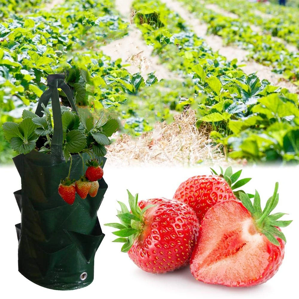Potato Strawberry Planter Bags For Growing Potatoes Outdoor Vertical Garden Hanging Open Style