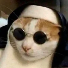 L***n