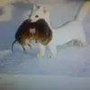 F***f