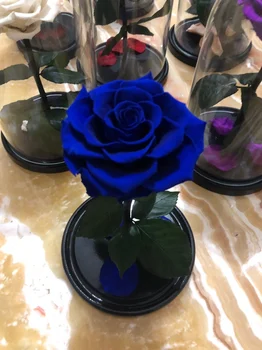 

beauty and the beast live rose in a flask Valentine's Day Gift Rose Romantic high quality natural different colors room design