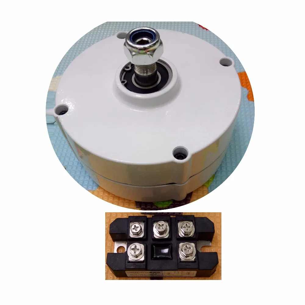 Buy 100W 750RPM 12V 24V rare earth permanent