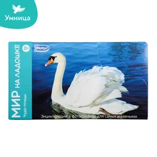 Мир на ладошке Умница ЧУДО-ПТИЦЫ