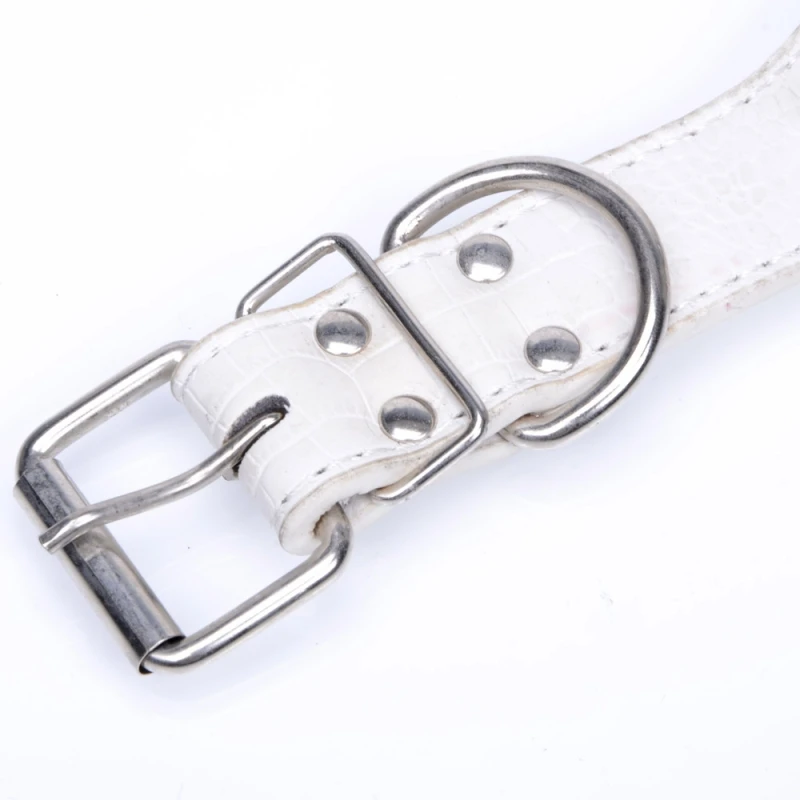 Cool-Skull-and-Spike-Design-Plain-PU-Leather-Dogs-Collar-White-Leopard-Color-L_2_800x800