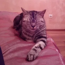 A***n