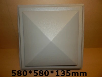 DSCN4971 4001