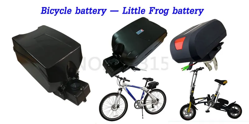 little-frog-bottom