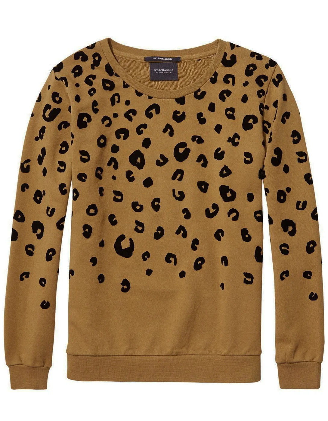 Стадо леопарда Свитер Maison Scotch | Женская одежда