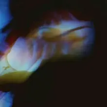 I***r