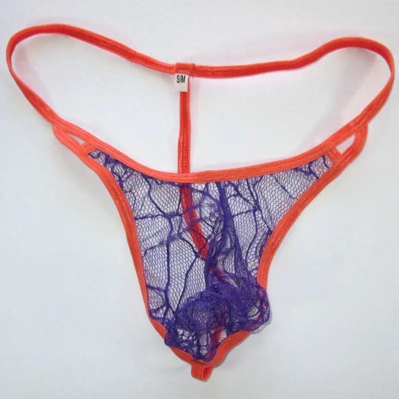 G4449-spider-purple-1