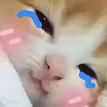 E***a