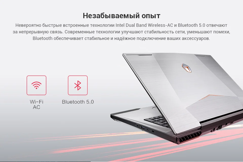 Игровой ноутбук THUNDEROBOT 911GT 17.3" /IPS /i7-8750H/GTX1060-6G/16G/256GSSD+1TB/144Hz/DOS