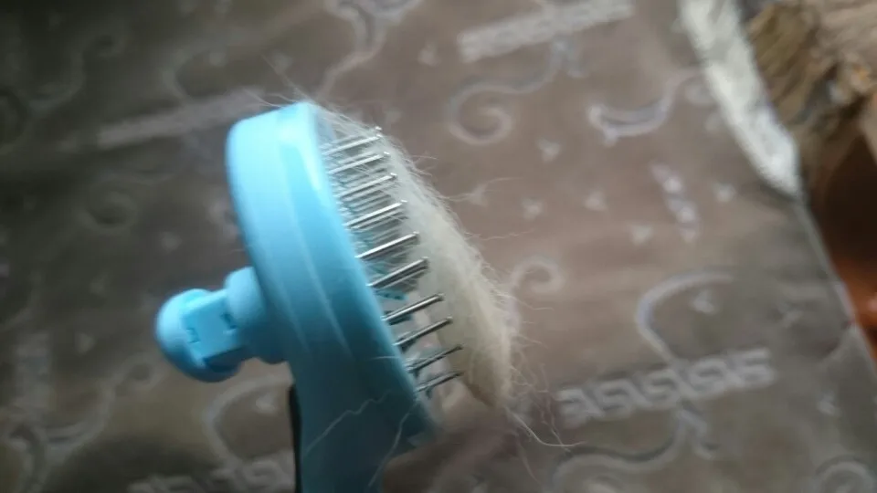 Pet Grooming Hair Removal Brush photo review