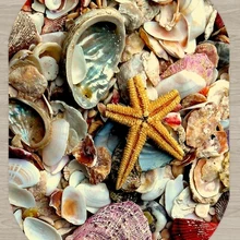 Else желтый красные, синие Морская звезда ракушки 3d узор печати нескользящей микрофибры гостиная современный Овальный моющийся коврик ковры