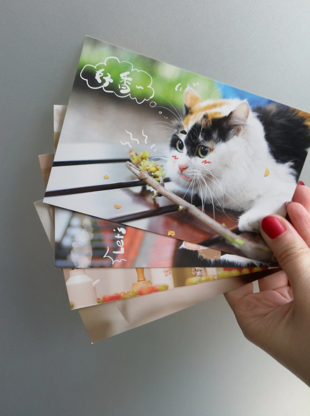 30 pcs/pack The Daily Something About Cat Postcard Greeting Gift Christmas Cards Birthday Card Letter Envelope Gift Card