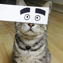 A***v