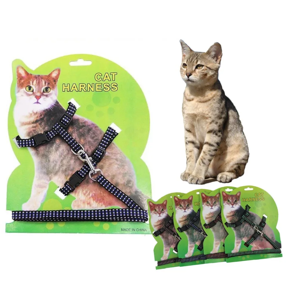 11268