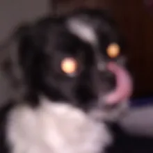 p***a