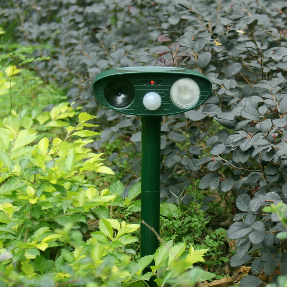 GS0500-6