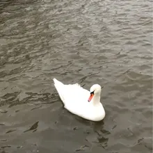 S***o