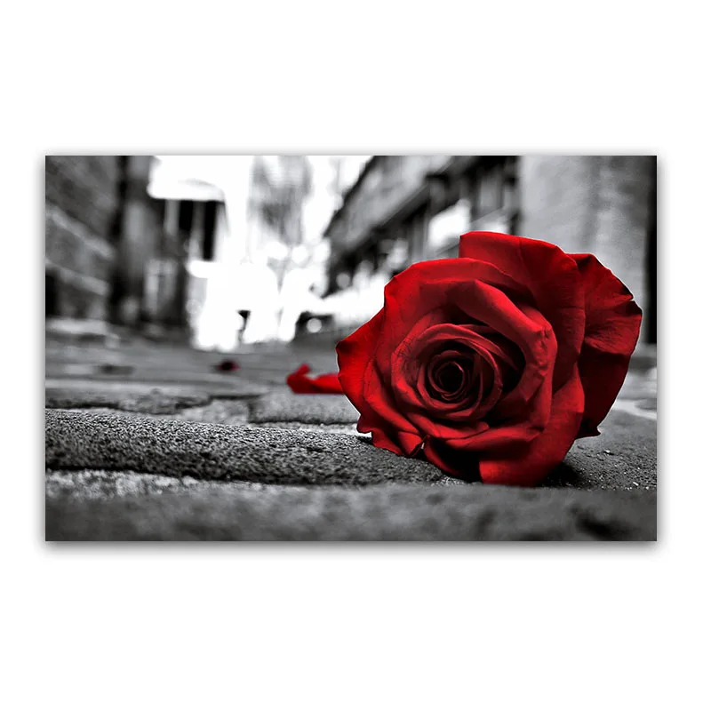 Красная роза цветок Landacape плакаты и принты стены искусства холст живопись черный белый Картина Современный домашний декор - Цвет: MD3423
