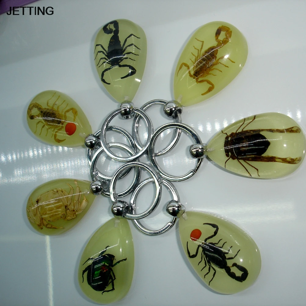 

JETTING 1PC Scorpion Glow Lucite Keyring Keychain Insect Jewelry Taxidermy Gift Car Styling Accessories Decoration