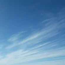 A***v