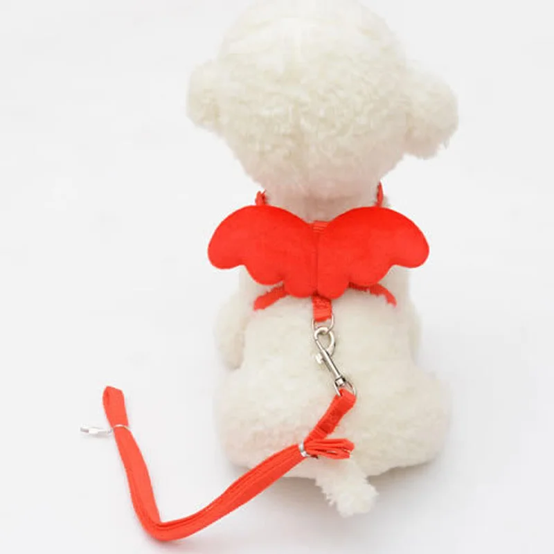 Cute-Angel-Pet-Dog-Leashes-and-Collars-Set-Puppy-Leads-for-Small-Dogs-Cats-Designer-Wing (2)