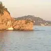 Y***t