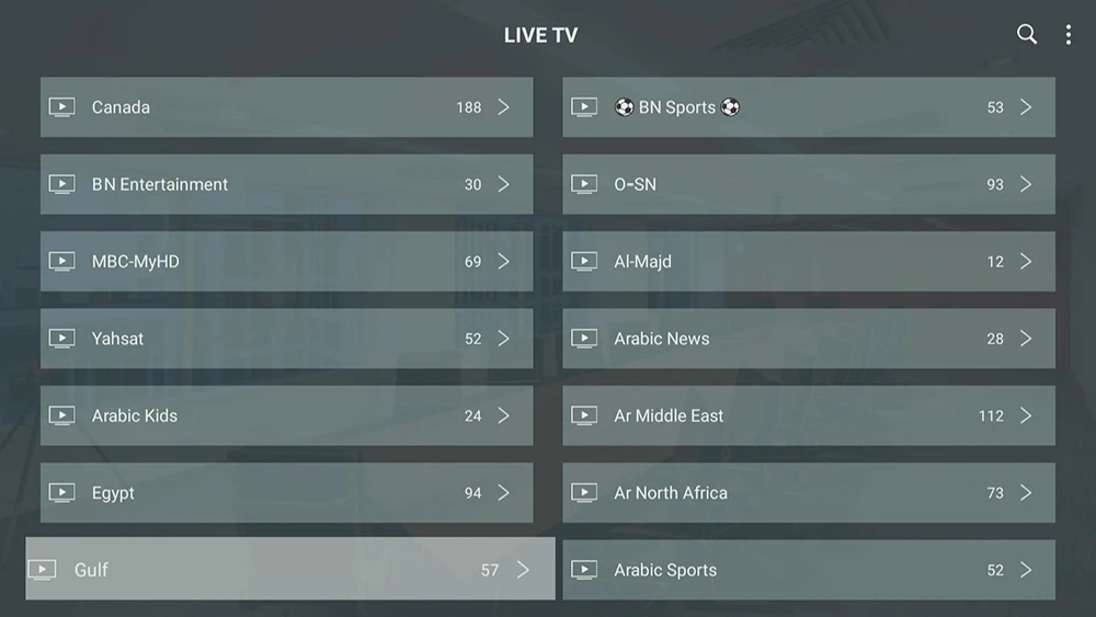 Лучший IPTV французский Арабский Английский Голландский Испанский Португальский для взрослых 18+ Фильмы VOD Live IPTV M3U Android АПК Смарт IPTV подписка