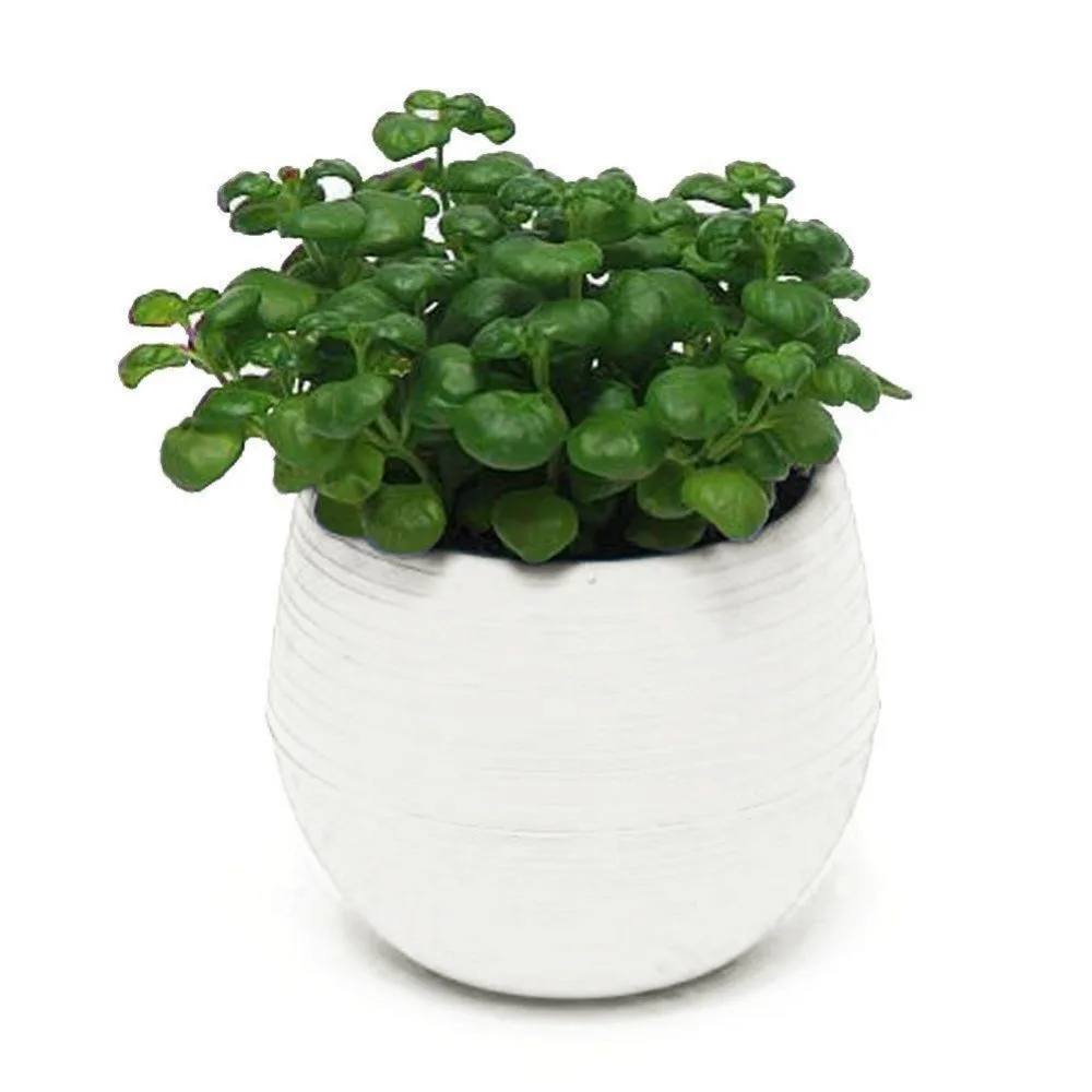 Colorful Round Plastic Flower Pot Plant Planter (4)
